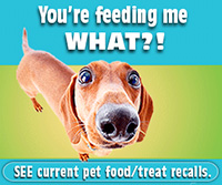 See current pet food/treat recalls. What Dog PFRW (300 x 250)